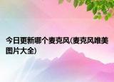今日更新哪个麦克风(麦克风唯美图片大全)