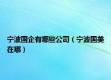宁波国企有哪些公司（宁波国美在哪）