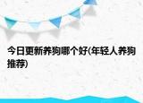 今日更新养狗哪个好(年轻人养狗推荐)