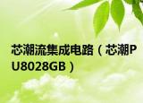 芯潮流集成电路（芯潮PU8028GB）