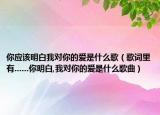 你应该明白我对你的爱是什么歌（歌词里有......你明白,我对你的爱是什么歌曲）