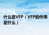 什么是VFP（VFP的作用是什么）