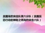 美国海豹突击队第六分队（美国反恐行动的神秘之师海豹突击六队）