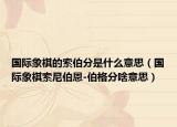 国际象棋的索伯分是什么意思（国际象棋索尼伯恩-伯格分啥意思）