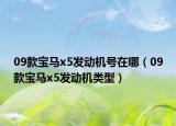 09款宝马x5发动机号在哪（09款宝马x5发动机类型）
