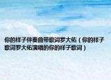 你的样子伴奏曲带歌词罗大佑（你的样子歌词罗大佑演唱的你的样子歌词）