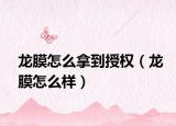 龙膜怎么拿到授权（龙膜怎么样）