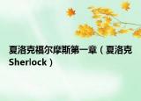 夏洛克福尔摩斯第一章（夏洛克Sherlock）
