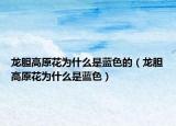 龙胆高原花为什么是蓝色的（龙胆高原花为什么是蓝色）