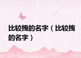 比较拽的名字（比较拽的名字）