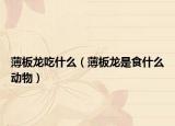 薄板龙吃什么（薄板龙是食什么动物）