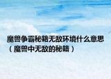 魔兽争霸秘籍无敌环境什么意思（魔兽中无敌的秘籍）