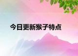 今日更新猴子特点