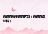 直翅目和半翅目区别（直翅目蟋蟀科）