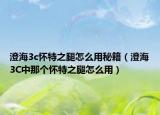 澄海3c怀特之腿怎么用秘籍（澄海3C中那个怀特之腿怎么用）