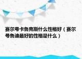 赛尔号卡鲁克斯什么性格好（赛尔号鲁迪最好的性格是什么）