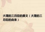 大理的三月街的美文（大理的三月街的由来）