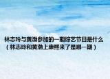 林志玲与黄渤参加的一期综艺节目是什么（林志玲和黄渤上康熙来了是哪一期）