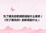 为了遇见你歌词歌词是什么意思（《为了遇见你》的歌词是什么）