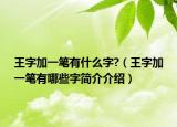 王字加一笔有什么字?（王字加一笔有哪些字简介介绍）