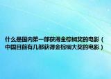 什么是国内第一部获得金棕榈奖的电影（中国目前有几部获得金棕榈大奖的电影）