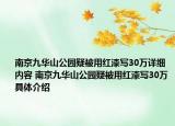 南京九华山公园疑被用红漆写30万详细内容 南京九华山公园疑被用红漆写30万具体介绍