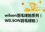 wilson羽毛球拍系列（WILSON羽毛球拍）