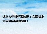 湖北大学哲学系教授（冯军 湖北大学哲学学院教授）
