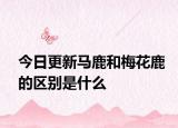 今日更新马鹿和梅花鹿的区别是什么