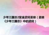 少年三国志2紫金武将姜维（姜维 《少年三国志》中的武将）