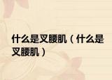 什么是叉腰肌（什么是叉腰肌）