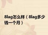 8lag怎么样（8lag多少钱一个月）