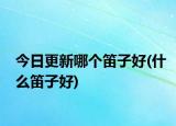 今日更新哪个笛子好(什么笛子好)