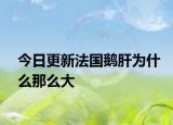 今日更新法国鹅肝为什么那么大