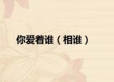 你爱着谁（相谁）