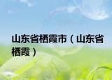 山东省栖霞市（山东省栖霞）