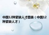 中国12种紧缺人才图表（中国12种紧缺人才）