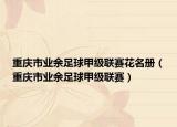 重庆市业余足球甲级联赛花名册（重庆市业余足球甲级联赛）