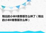 刚出的小米8青春版怎么样了（刚出的小米8青春版怎么样）