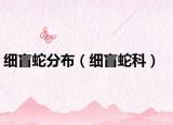 细盲蛇分布（细盲蛇科）