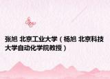 张旭 北京工业大学（杨旭 北京科技大学自动化学院教授）