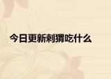 今日更新刺猬吃什么