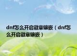 dnf怎么开启徽章镶嵌（dnf怎么开启徽章镶嵌）
