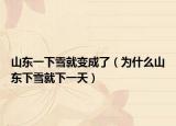 山东一下雪就变成了（为什么山东下雪就下一天）