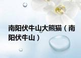 南阳伏牛山大熊猫（南阳伏牛山）