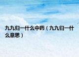 九九归一什么中药（九九归一什么意思）