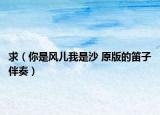 求（你是风儿我是沙 原版的笛子伴奏）