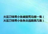 火蓝刀锋蒋小鱼被困荒岛哪一集（火蓝刀锋蒋小鱼鲁炎逃跑第几集）