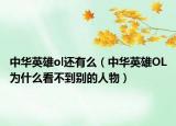 中华英雄ol还有么（中华英雄OL为什么看不到别的人物）