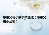 感恩父母小故事大道理（感恩父母小故事）